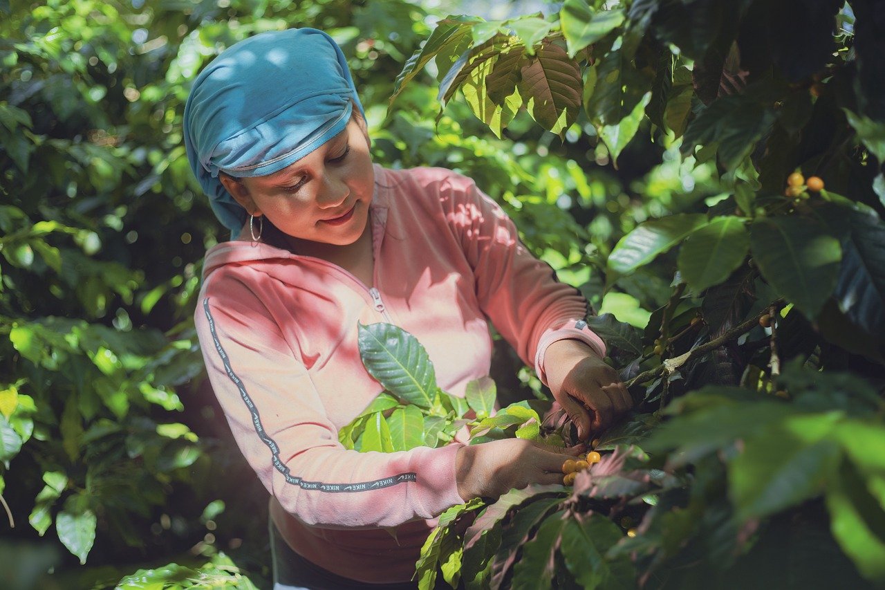 Tempus phasellus mi sed ac quisque habitasse